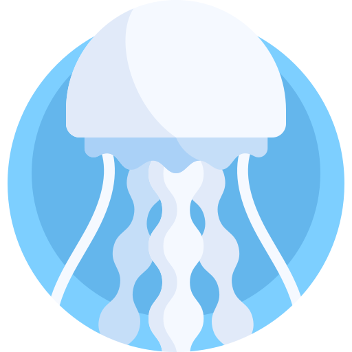 Jellyfish