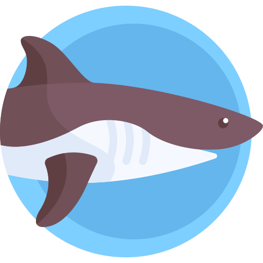 Shark