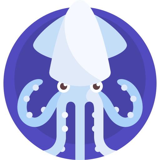 Squid